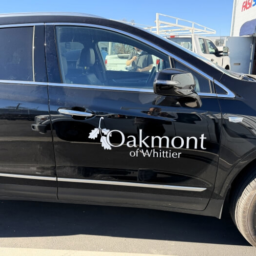 Vehicle Graphics